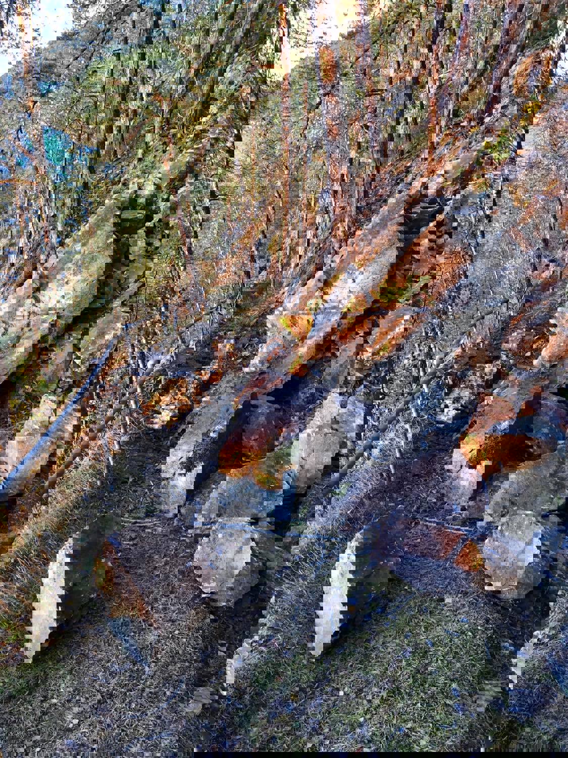 Sikring av stien ned til stranda